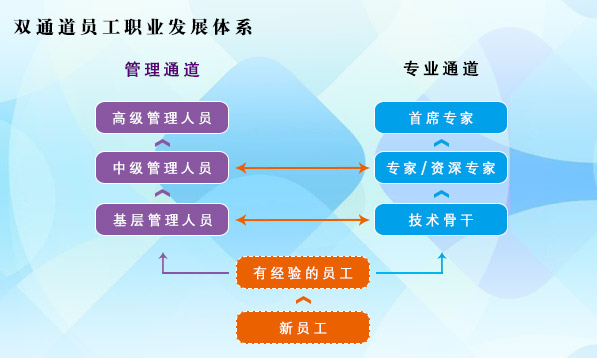 职业发展图片 50732 597x358
